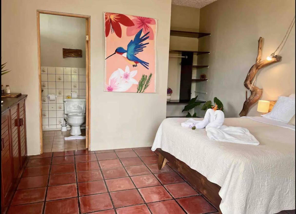 Mizaru Ocean View Hotel Manuel Antonio Quepos Kültér fotó